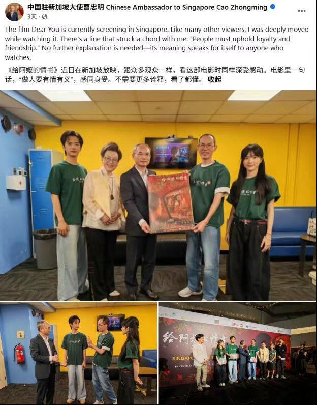 给阿嬷的情书在新加坡爆火《给阿嬷的情书》在新加坡爆火太有说服力了，没有流量、没有