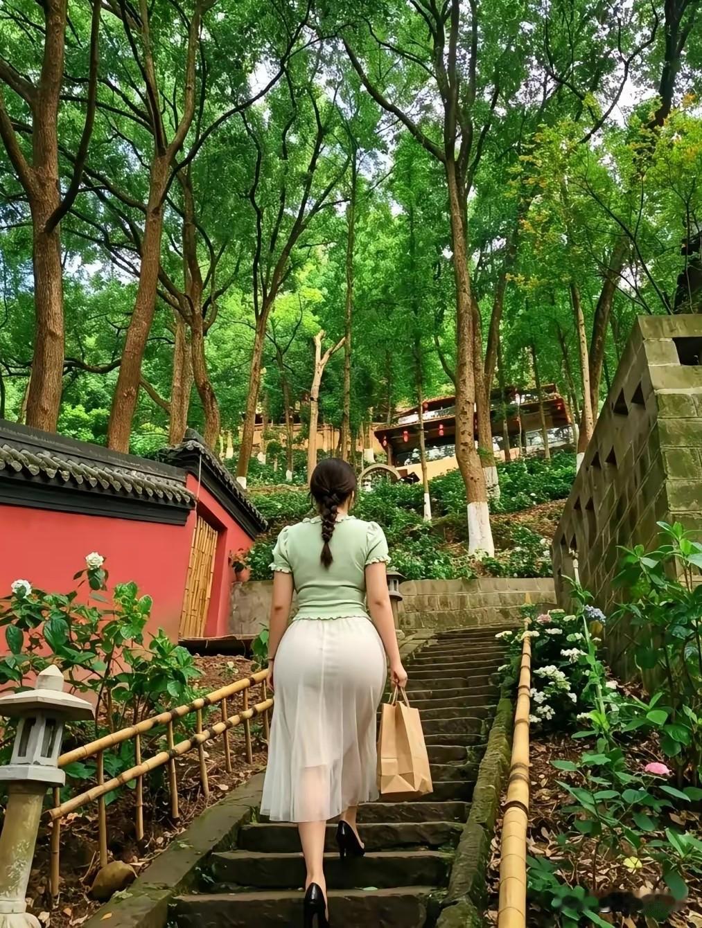 大树底下好乘凉天热去森林中避暑有来的吗
