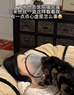猫：你对朕到底干了什么？