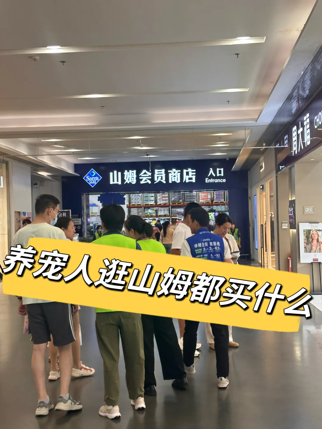 养宠人逛山姆无限回购的好物