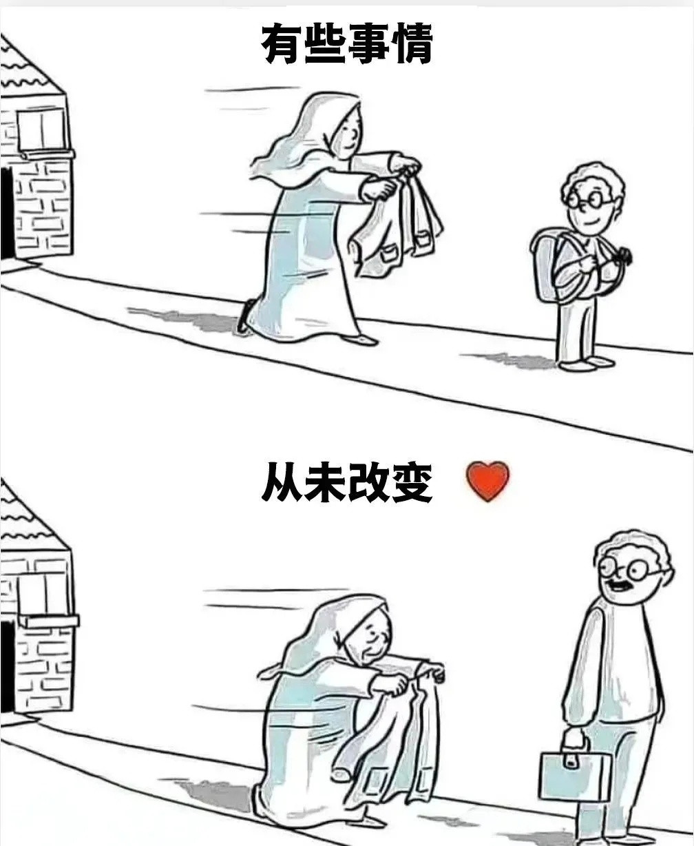 我在垃圾桶里见过很多玫瑰，唯独没见过康乃馨meme​​​