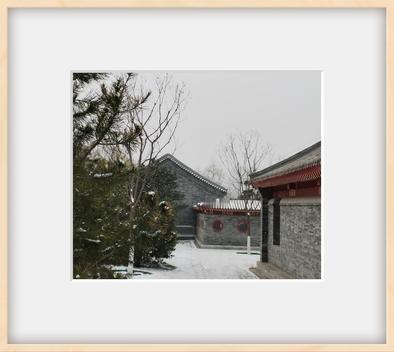 北国风光，雪景如画！