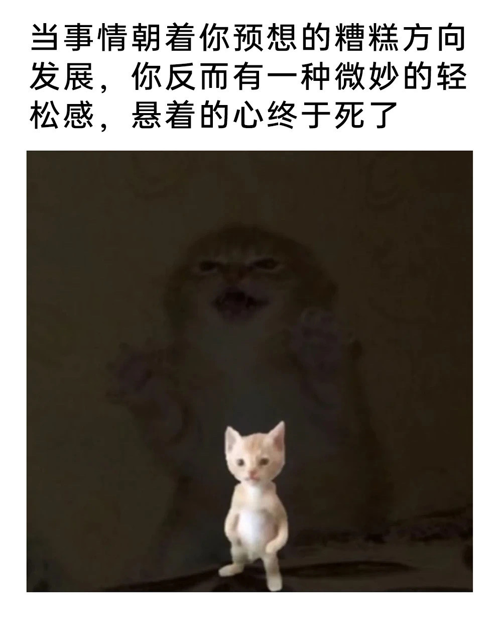 这下好了​​​