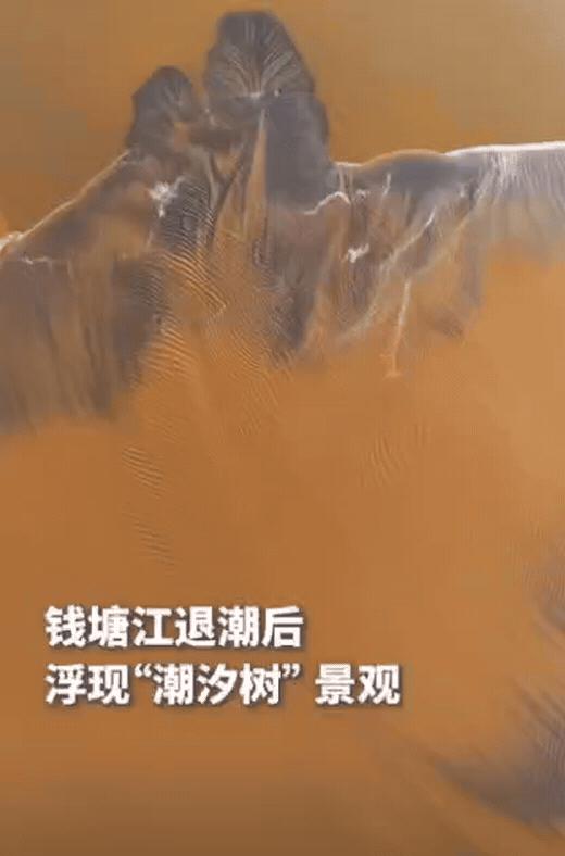 10月17日,浙江一男子用无人机拍钱塘江,谁能想到,无人机刚起飞,就发现