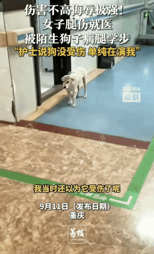 重庆，女子腿伤就医。突然，一只陌生狗子瘸着腿走过来。女子以为狗子受伤了，结果护士