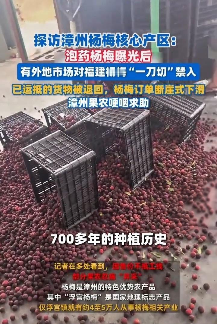 杨梅滞销，果农哭诉：漳州700多年种植杨梅的历史难道要毁在我们这一代手上了么？