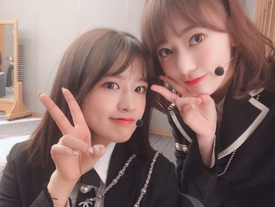 安宥真珍贵的幼犬🐶时期安宥真