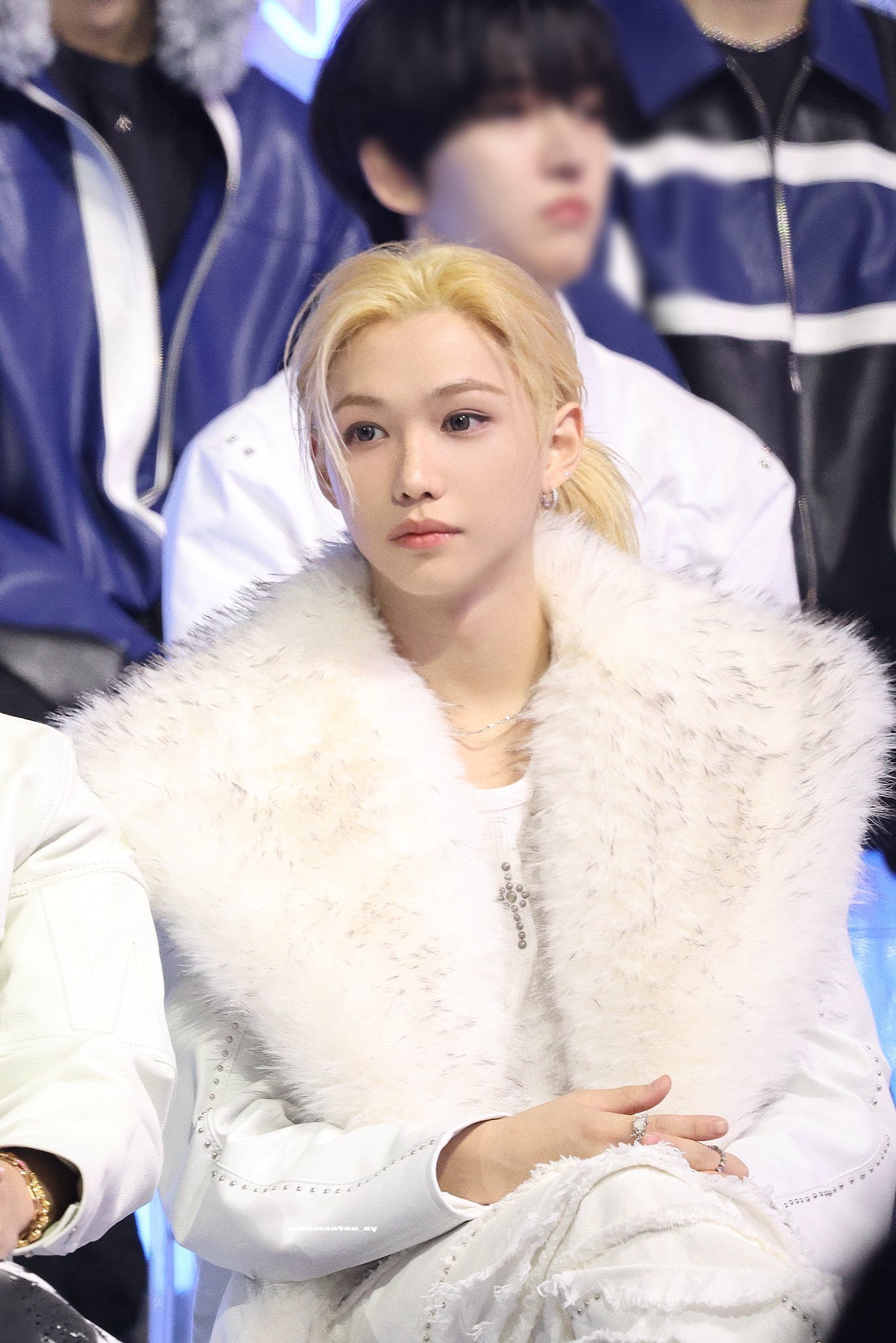 花生什么树了我好萌