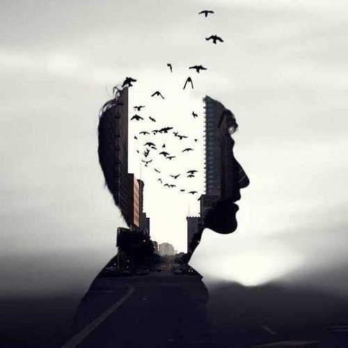 疗愈的本质在于改变自己，在“改变自己”这件事上，既没有捷径，更不可能有什么“速成