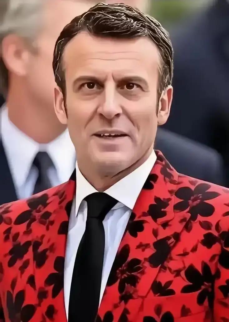 快讯！快讯！刚刚得知法国正式宣布了11月27日，法国总统办公室正式官宣，马