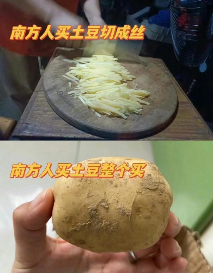 第一次这么直观感受到南北差异