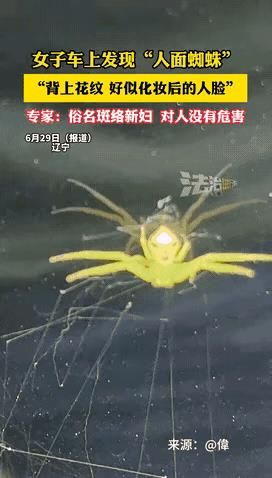 第一次看见这样神奇的生物，太不可思议了，这要是晚上看到了，会让人惊恐不已，这看上