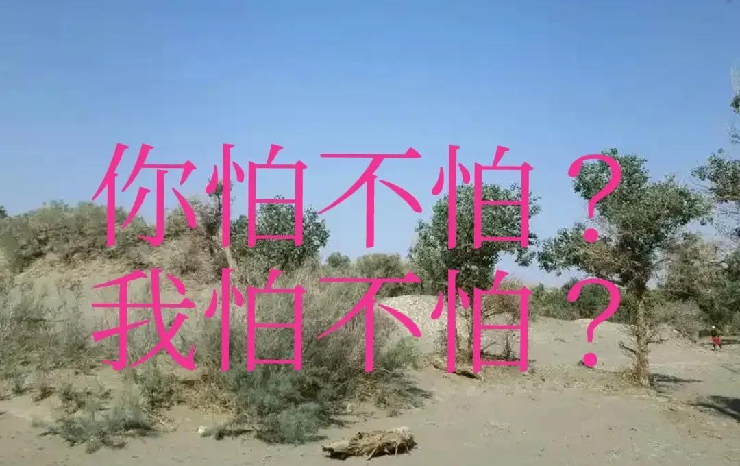 今天看到某某公司发的那个某某声明，让我感到很好笑，为什么那么着急发声明，其实这件