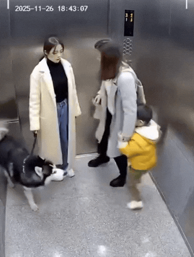 为什么不把喜欢养狗的集中在一个小区呢？