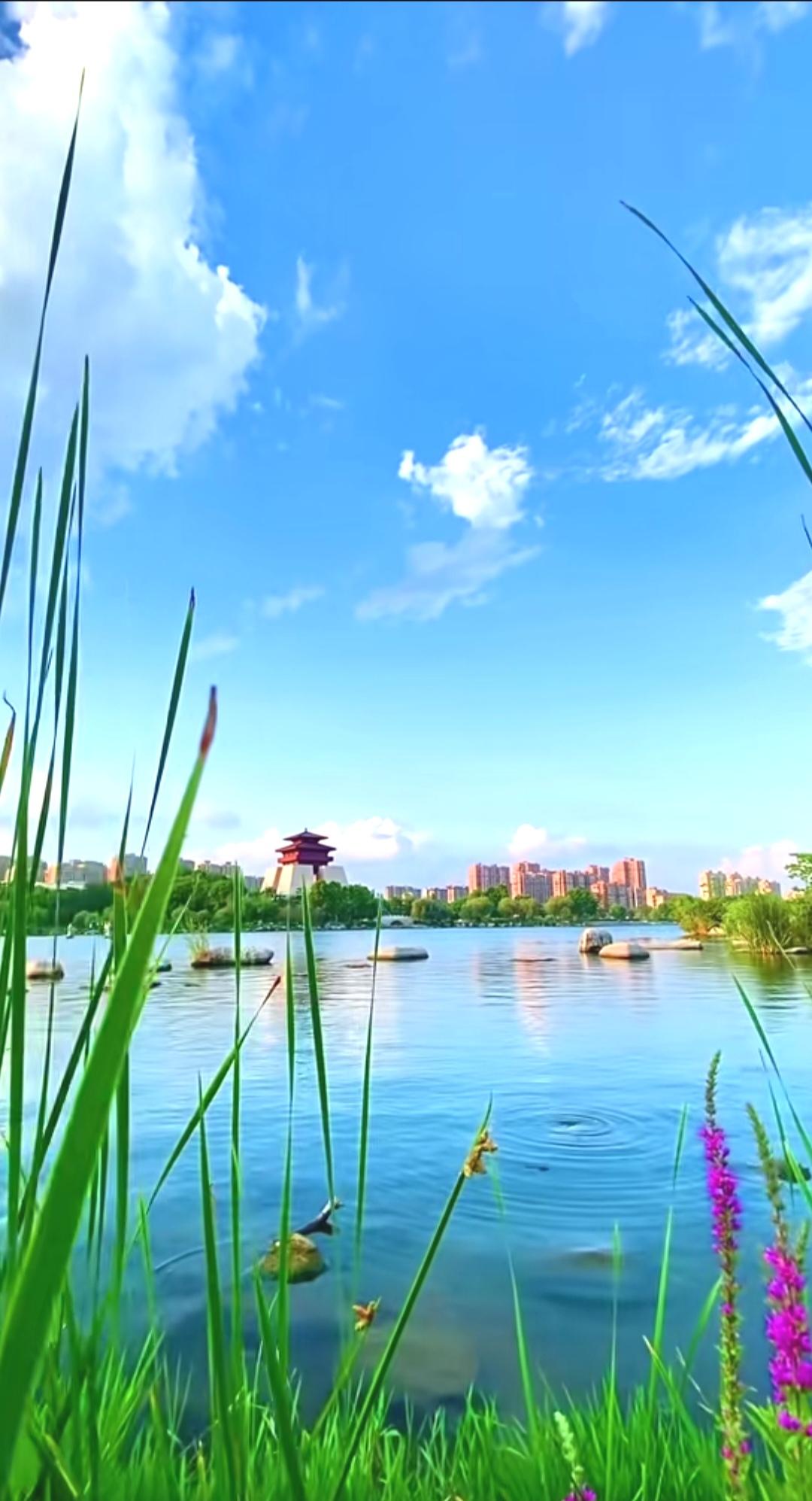 2025年国庆双节期间旅游景点出现帐篷现象你怎么看？2025年国庆双节期间旅游