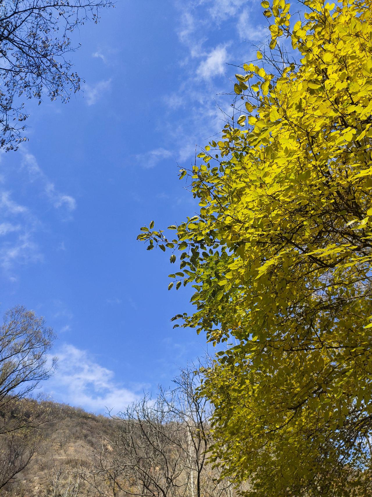 朋友，49岁了，某乡镇上班工作27年，农家子弟出身，已是乡镇府中层干部，打卡工资