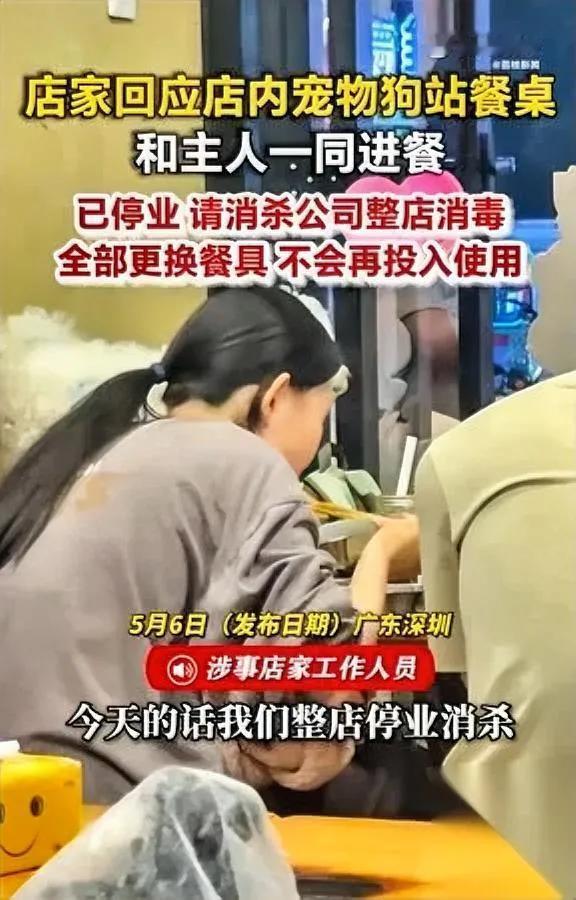 带狗进餐厅的人别再干缺德事了最近5个月至少7家店被坑惨了。不是狗不懂