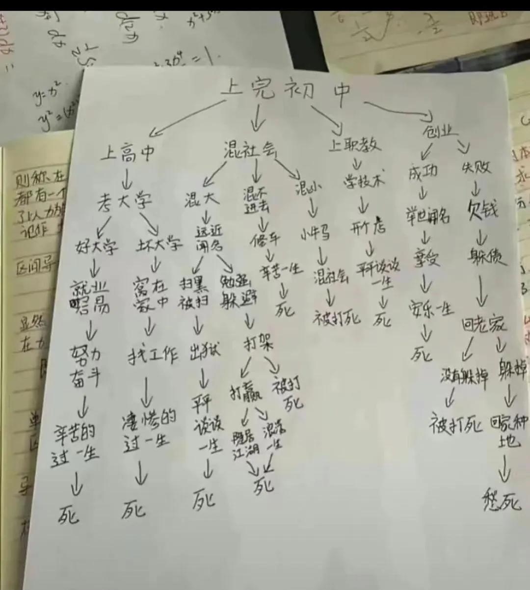 原来我们都搞错了，初中才是人生最重要的分岔路口。一张图解锁人的一生，上高中的会去