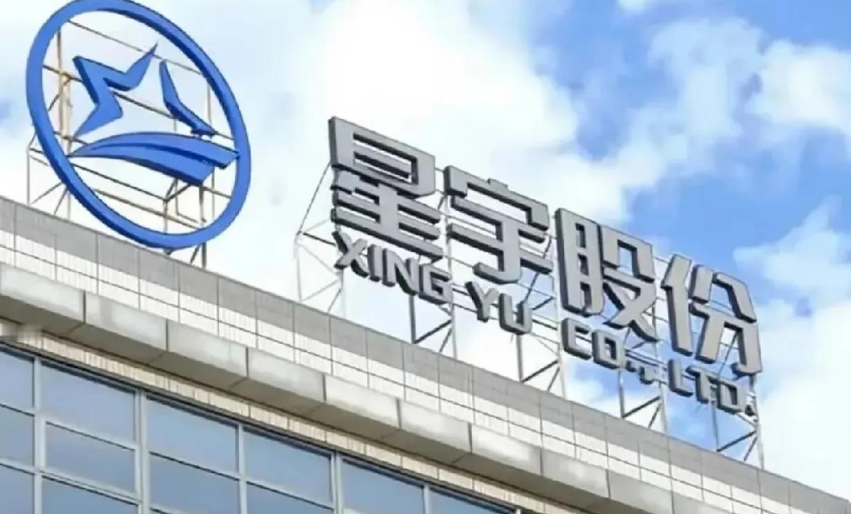 星宇裁员事件最扎心的一幕：不去劳动仲裁，反而向欧盟投诉！星宇股份裁员风波，最