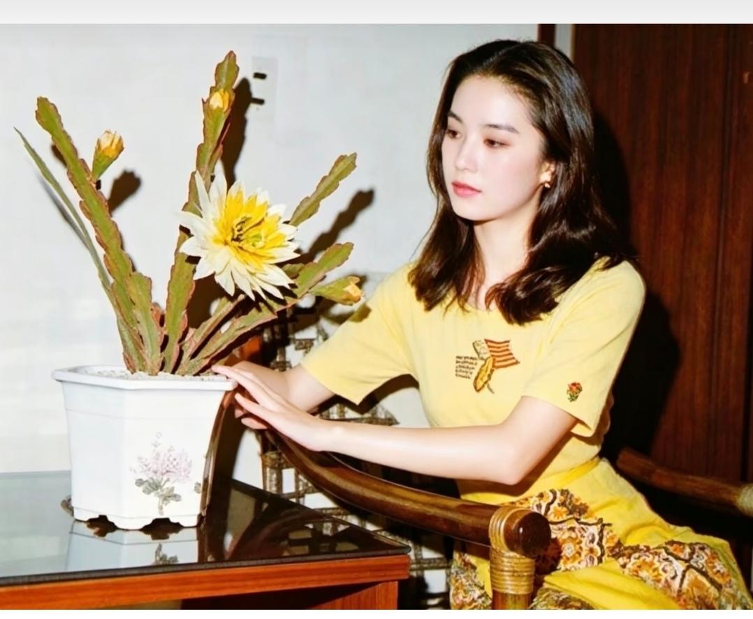 真是从年轻美到老的唯一一个。