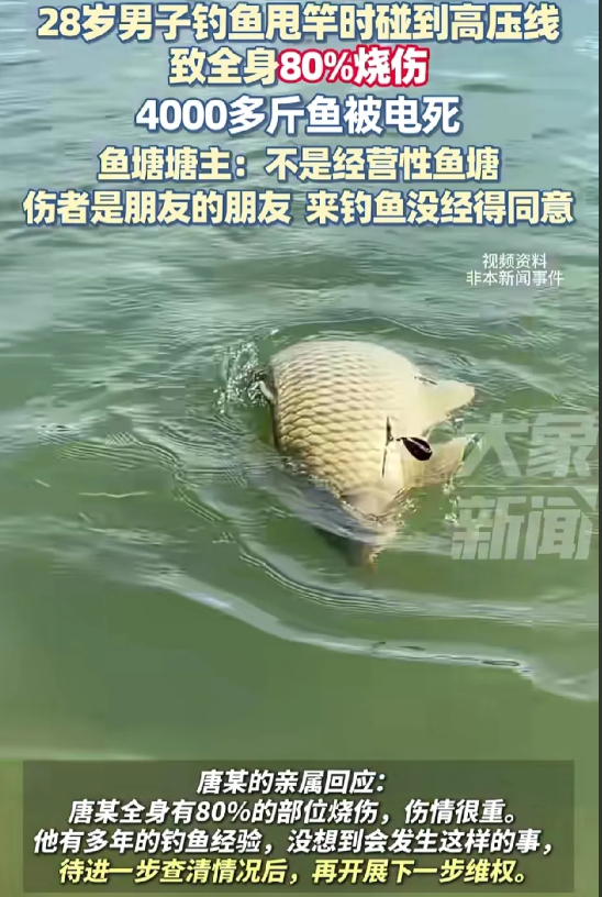 你来偷鱼我都不追究，你偷鱼被电了反而找我要赔偿？那我那被电死的4000多斤鱼