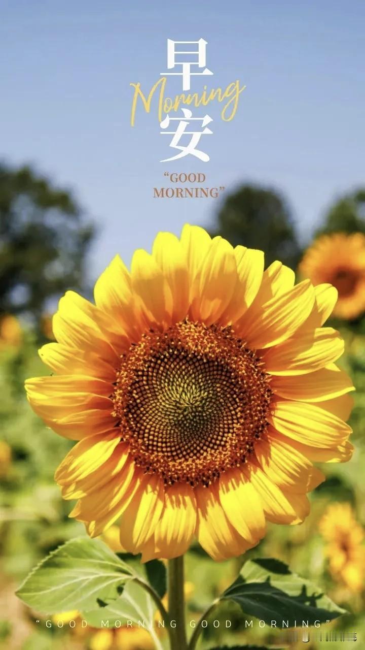 2024年“如果不缺钱，你还会上班吗？”成了热门话题。深圳有个裸辞的程序员，存