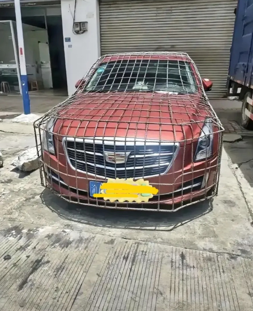 车主这次乱停车，算是遇上狠人了
