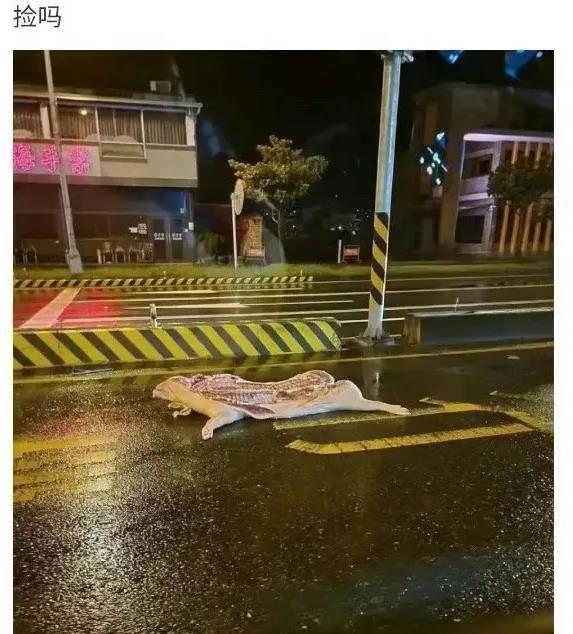 路上发现的，捡不捡？​