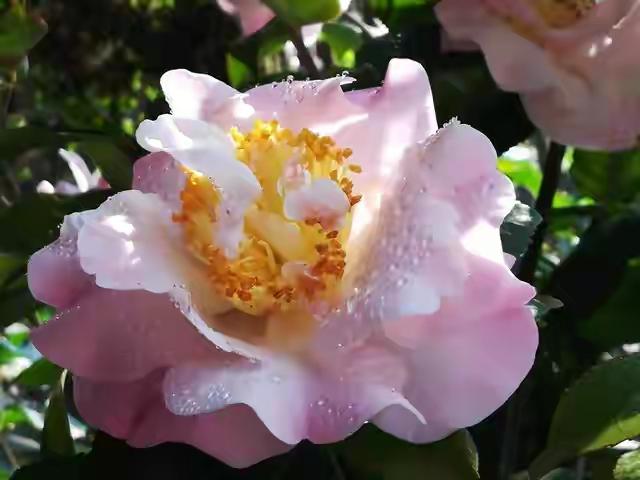 人这一辈子，总要摔几次跟头，才肯承认一句扎心真相：感情是虚的，利益是实的；人心是