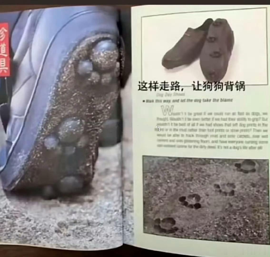 怎么会有如此恶毒之人？
