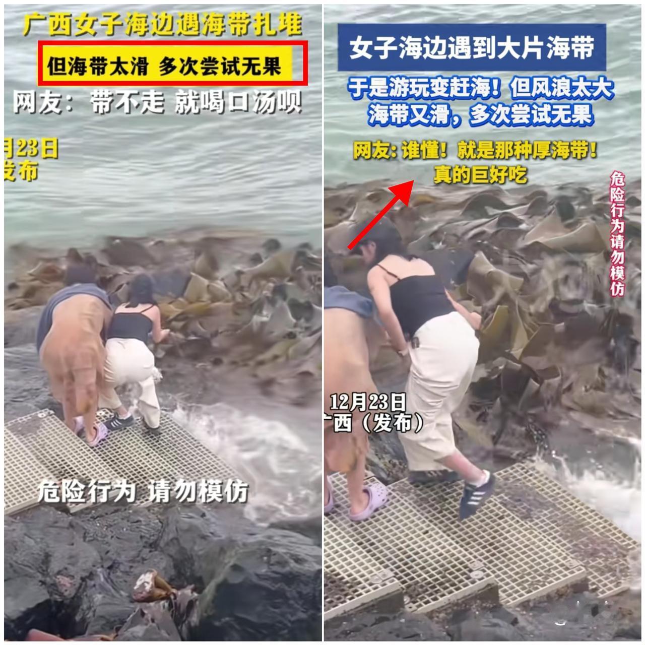 “解释不清了！”广西俩姑娘海边偶遇一大片海带，当场化身“野生干饭人”，拽着