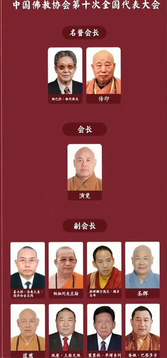 本以为永信大师的中国佛教协会副会长很厉害了，没想到竟然有这么多副会长。佛教协会