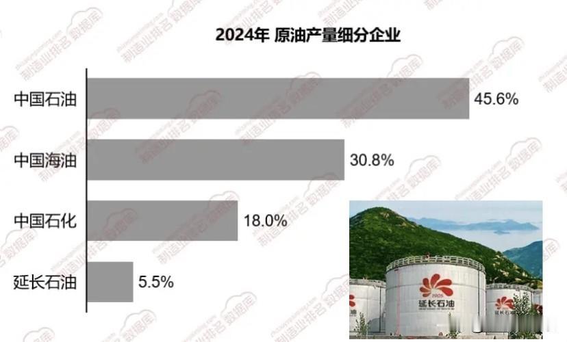 延长石油800亿元投千万吨级炼化一体化项目，这到底是豪赌还是深思熟虑的结果？现