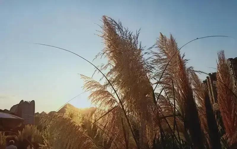 港媒突然爆料陈伟霆早在2020年就悄悄把婚结了，对象不是圈里人，俩人低调到连亲友