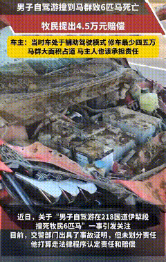 男子自驾游时，于218国道伊犁路段开启“辅助驾驶”模式驾车，不慎撞上了在路面行走