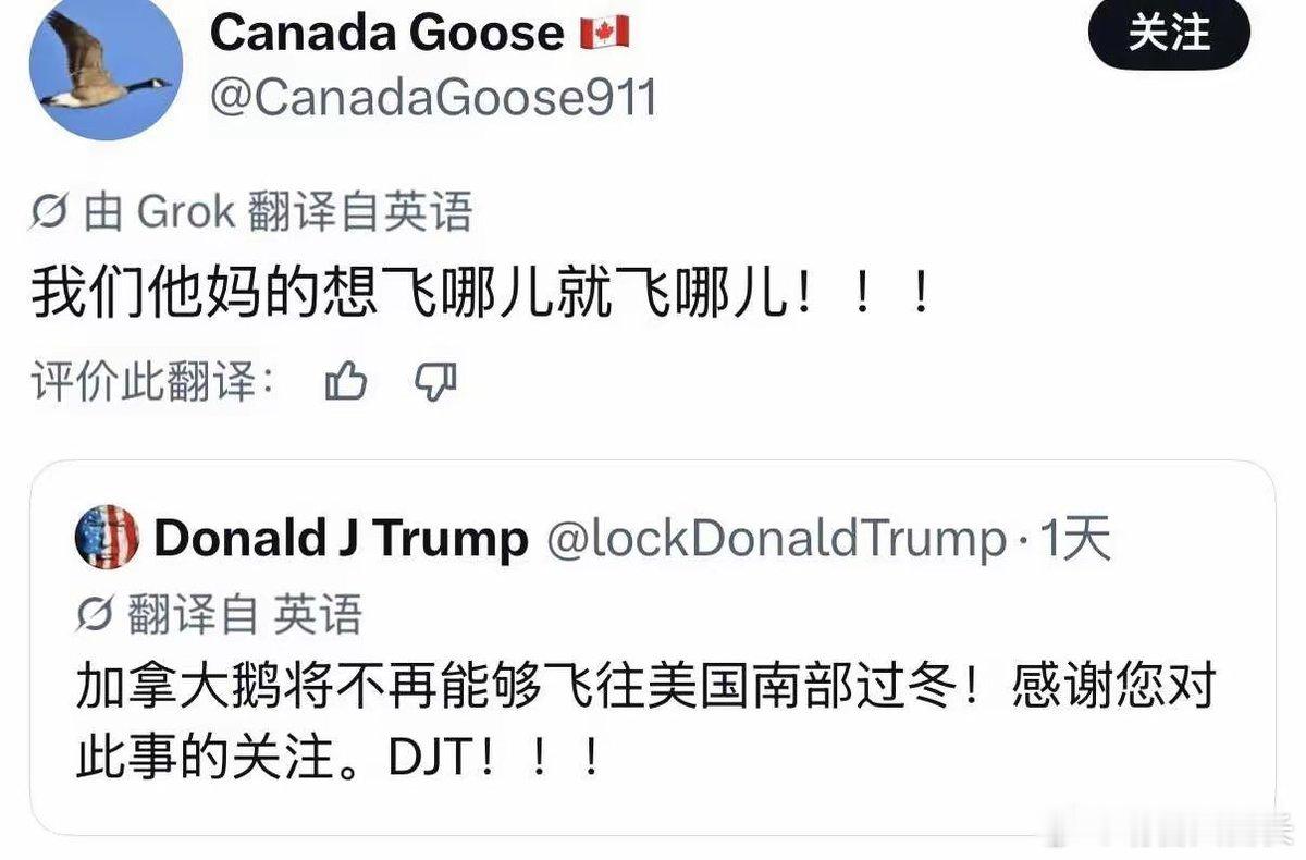 加拿大鹅：我们飞哪儿都行​​​