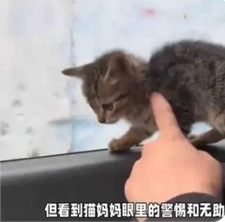 杭州女子下班后忘关车窗，女子取车时看傻眼了本以为是财物失窃的糟心戏，结果拉