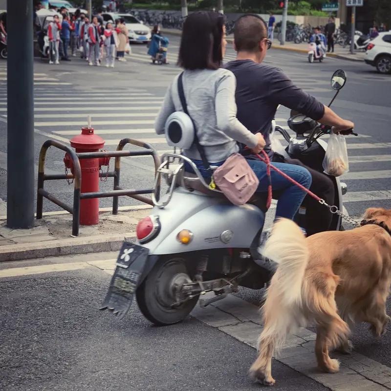 农村人一定比城里人穷？这可不一定。以前，城乡差距没想象中大。1952-19