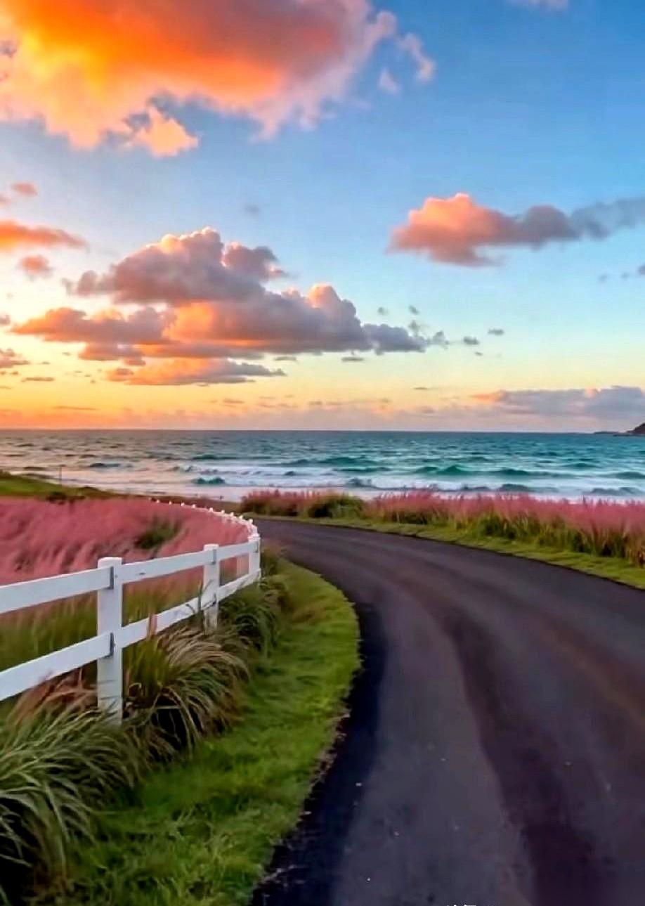 每次看到有人穿着板鞋、踩着夜色一通猛跑，我就替他的膝盖捏把汗。哥们儿，你真以为