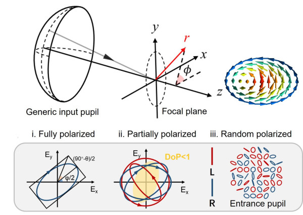 【科学家揭示聚焦光场中内禀自旋纹理！】近日，中国科学技术大学团队揭示并验证，在一
