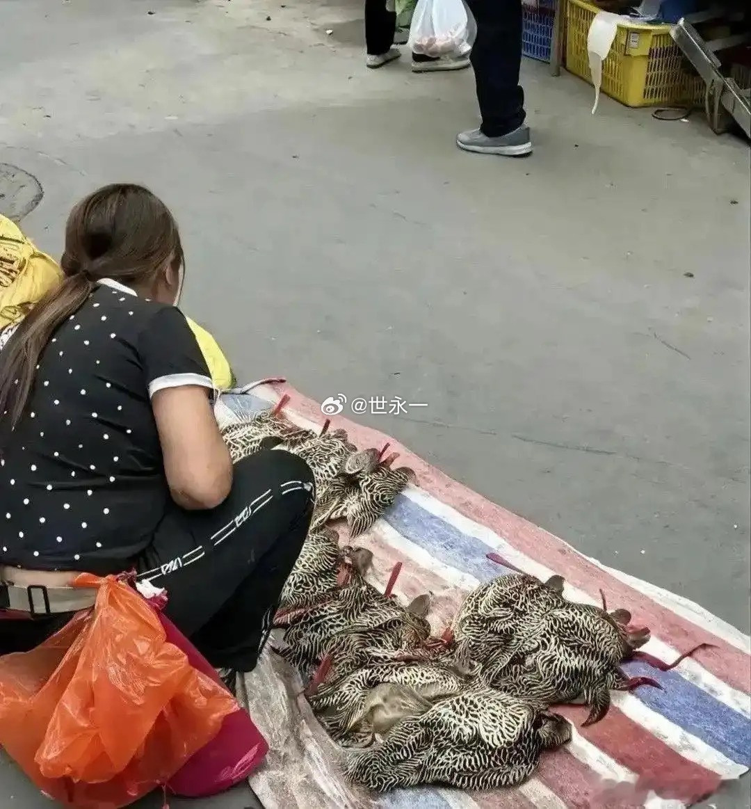 这大姐心真大，这个都敢卖！
