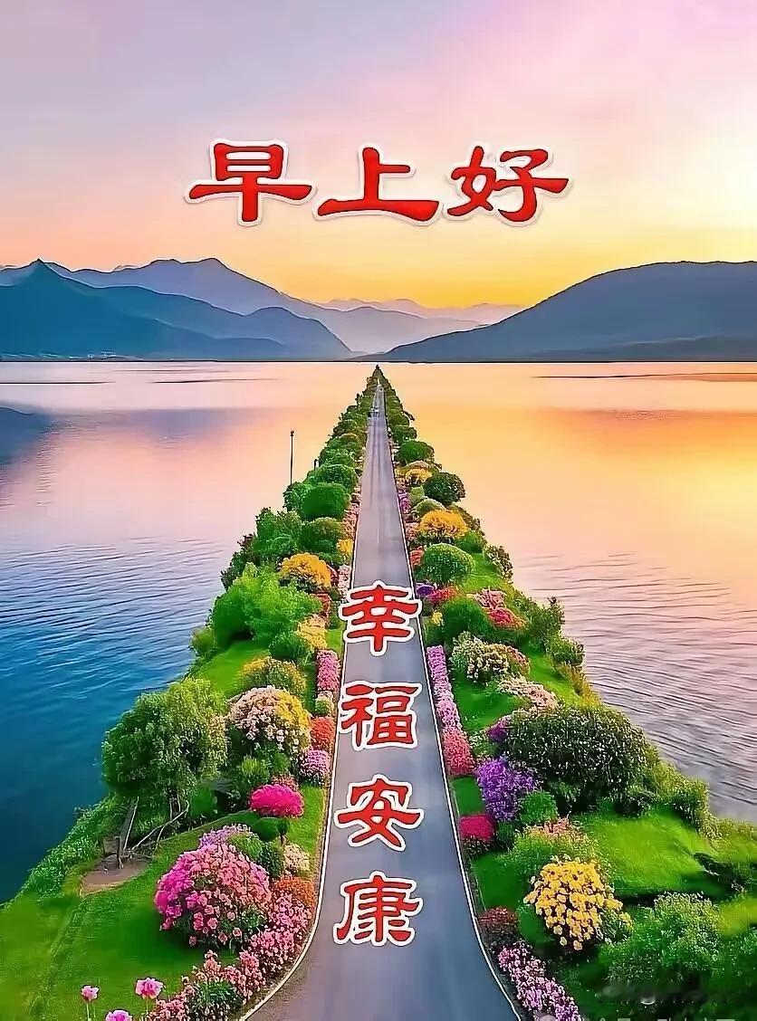 清晨阳光洒落，愿抛开昨日疲惫，怀揣希望奔赴今日，平安喜乐，早安。
