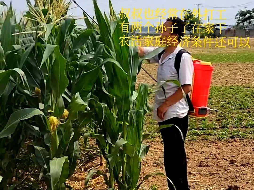 叔叔俩夫妻前两天去长沙会亲家。见面那天在宾馆里刚坐下，亲家母直接掏出手机