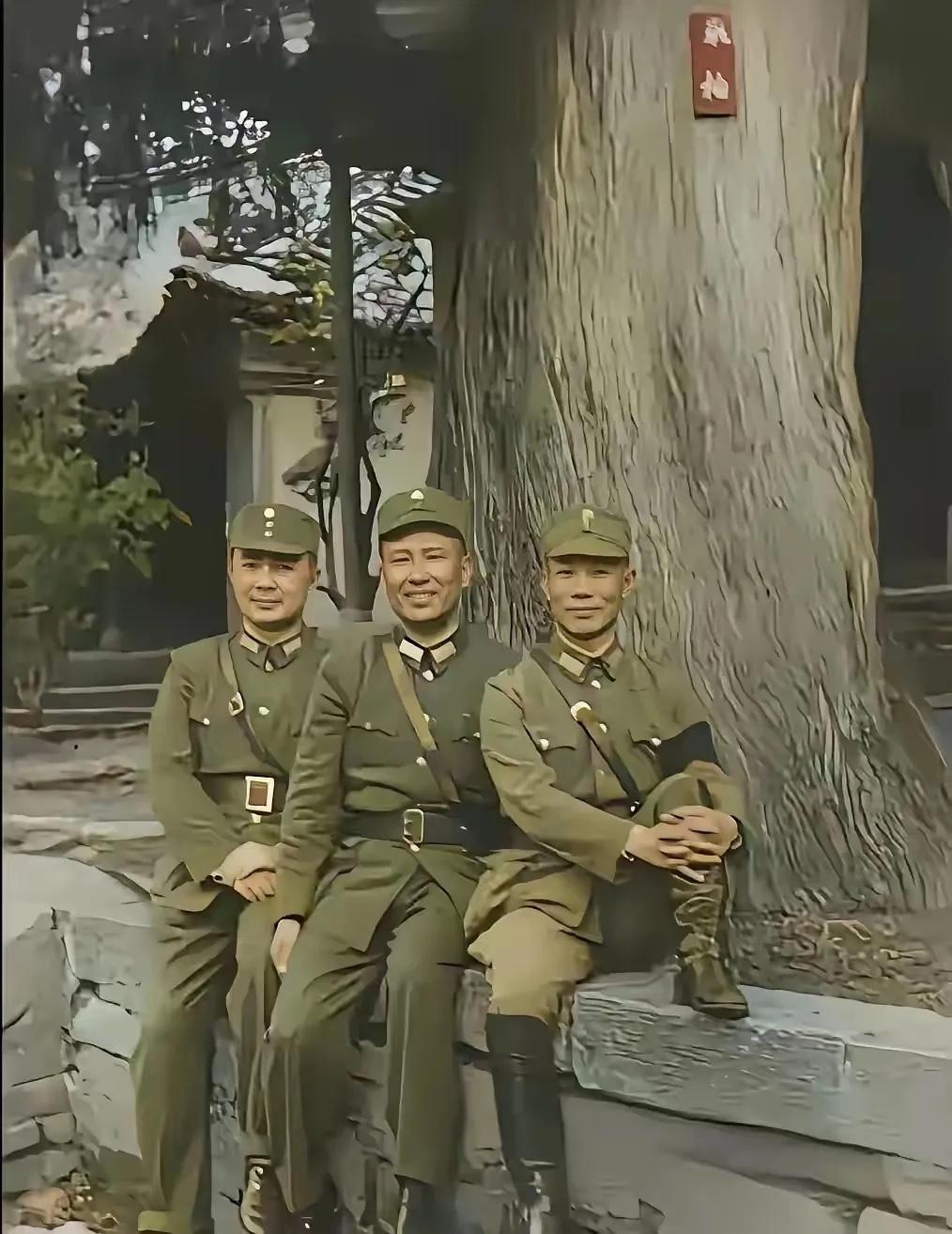 1943年，陈诚、白崇禧和黄琪翔三人同框的罕见合影，三人坐在一棵千年柏树下，当时