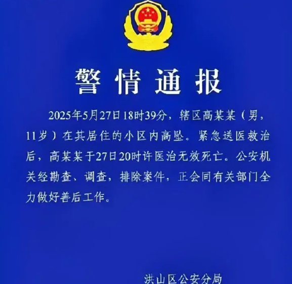 武汉11岁孩子跳楼原因曝光了，不是经济压力，不是校园暴力，不是父母离异，更不是抑