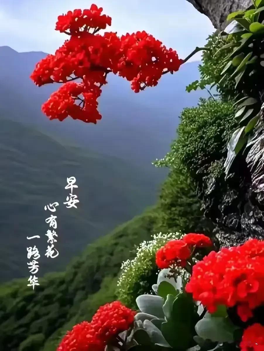 人到老年，什么才是最重要的？我认为人到老了，有6个方面的，是最重要的事情。①