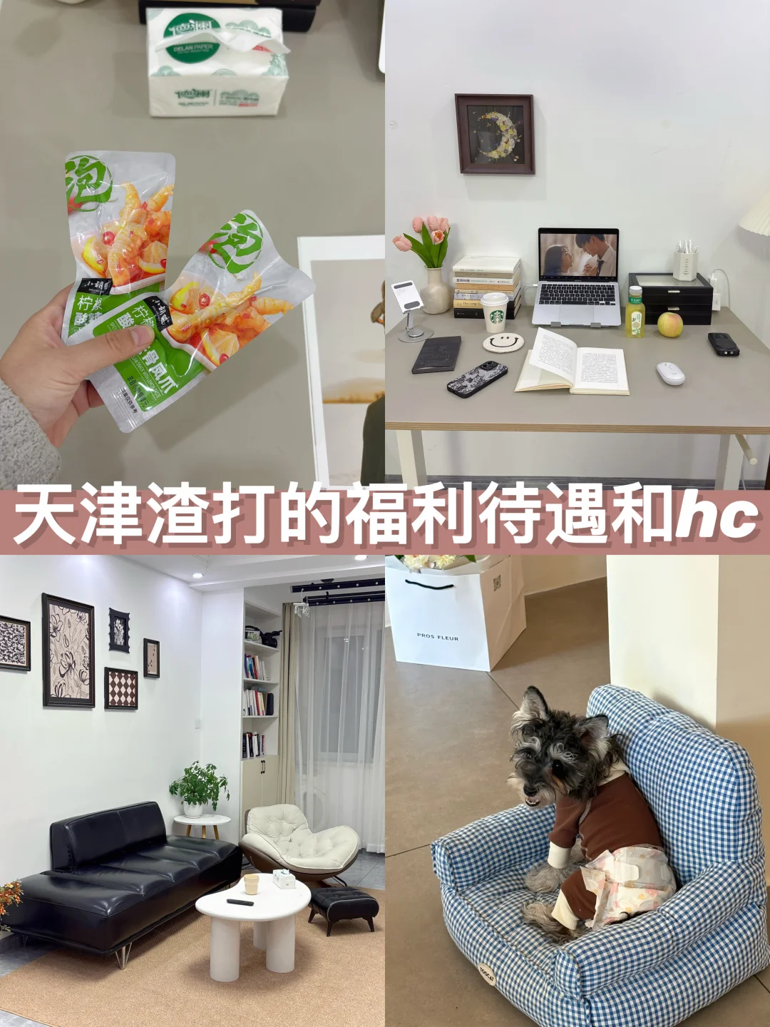找工作｜天津渣打的福利待遇和hc
