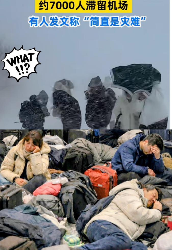 “求救！被困北海道机场，急求国家派包机接我们回国！”最近，互联网上的一些声音，