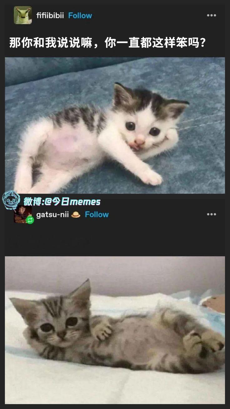 挺搭（9gag）哎呀​​​