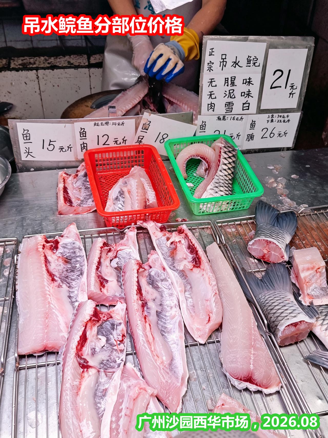 吊水鲩，鱼腩上庄30/斤，比排骨贵（沙园）广州沙园西华市场，这家卖开刀吊水鲩